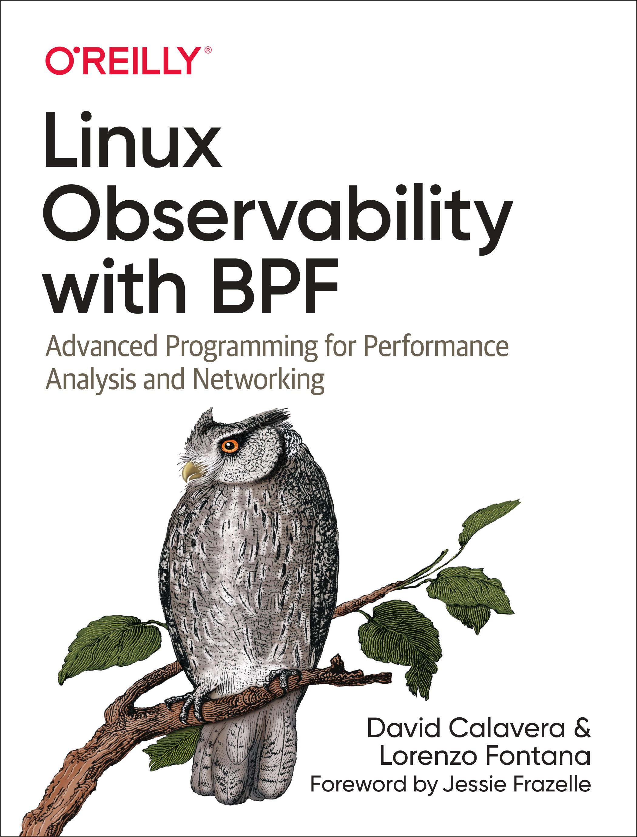 BPF book cover